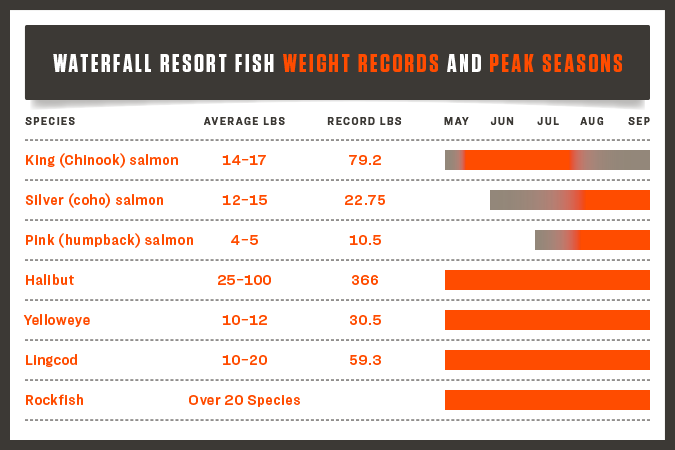 Halibut Weight Chart