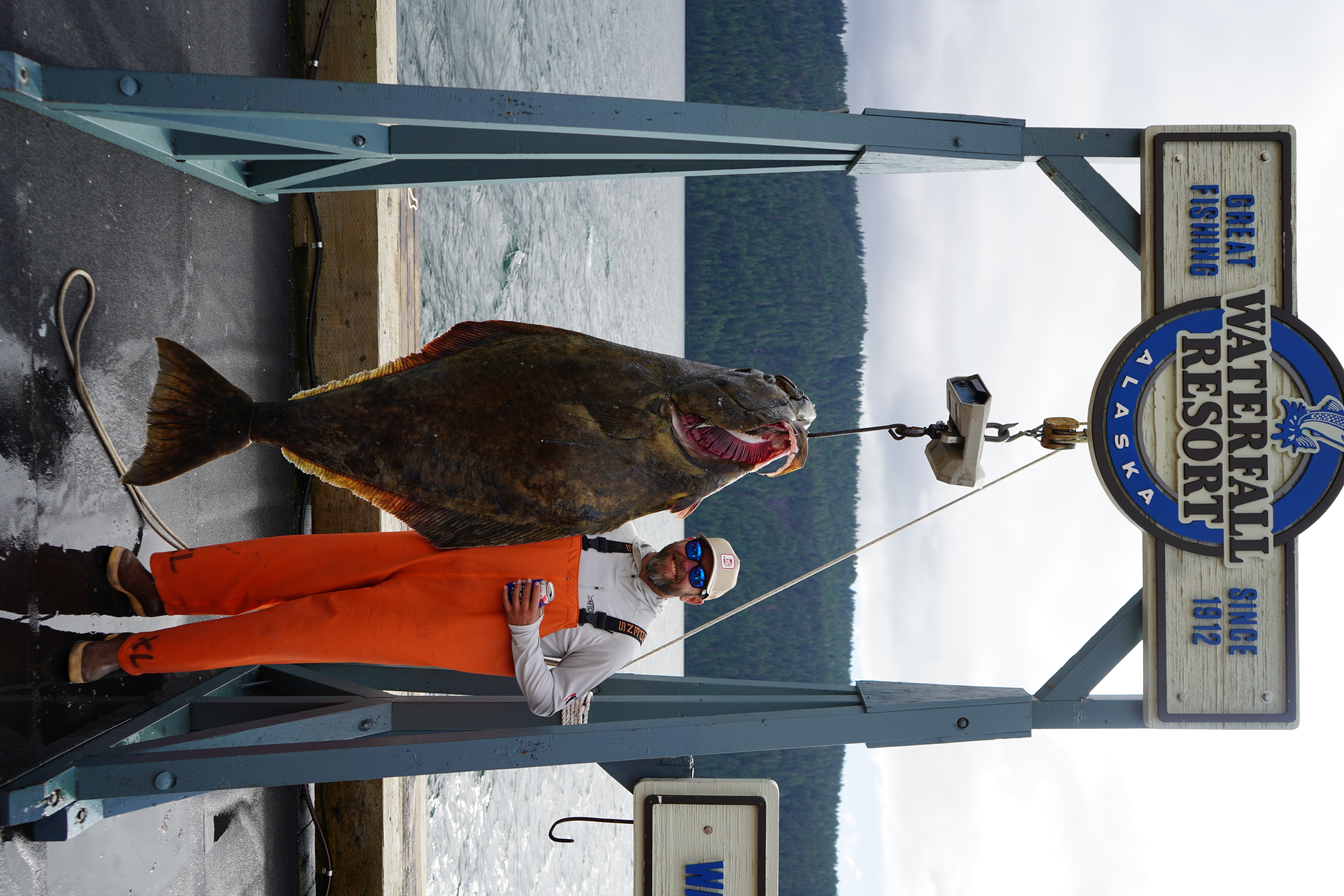 David Alford with his 231-pound halibut